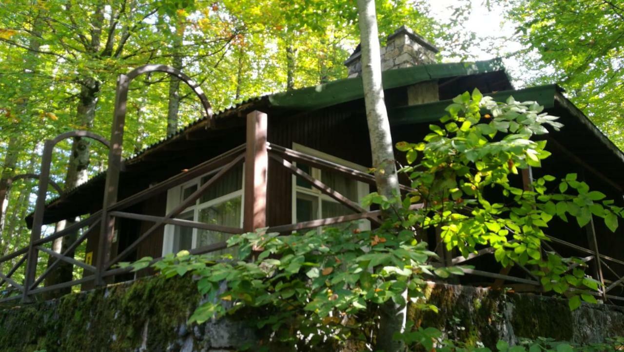 Гостевой дом Habitat Mesire Менген Экстерьер фото