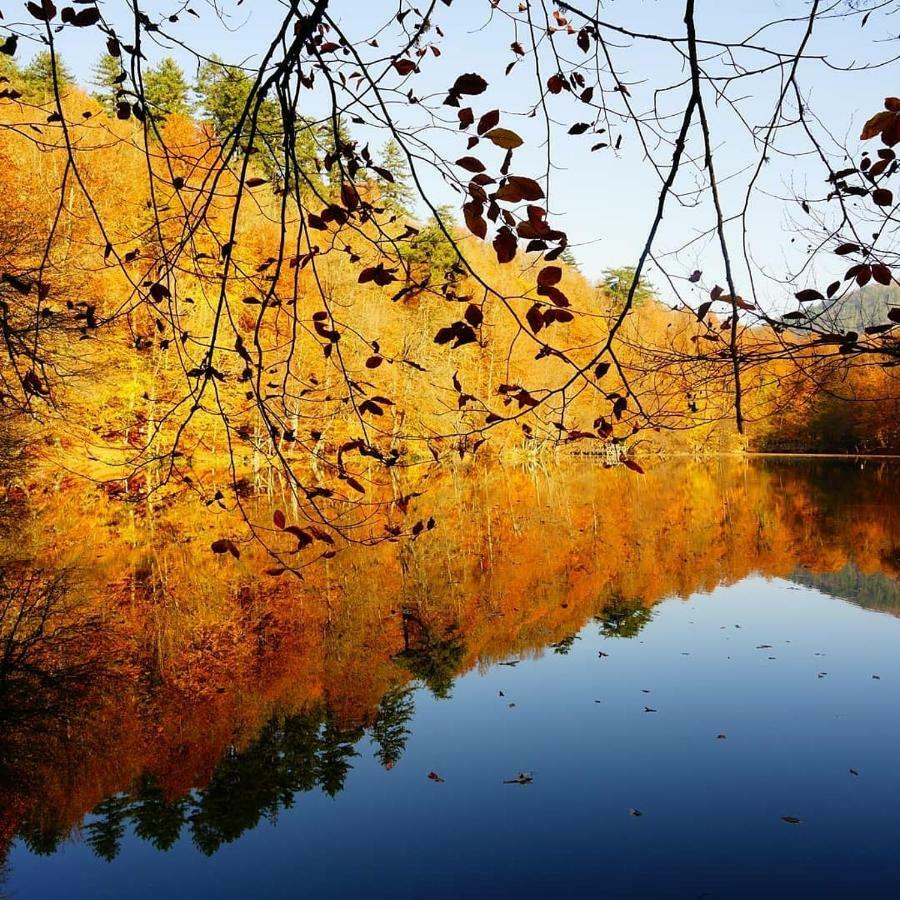 Гостевой дом Habitat Mesire Менген Экстерьер фото