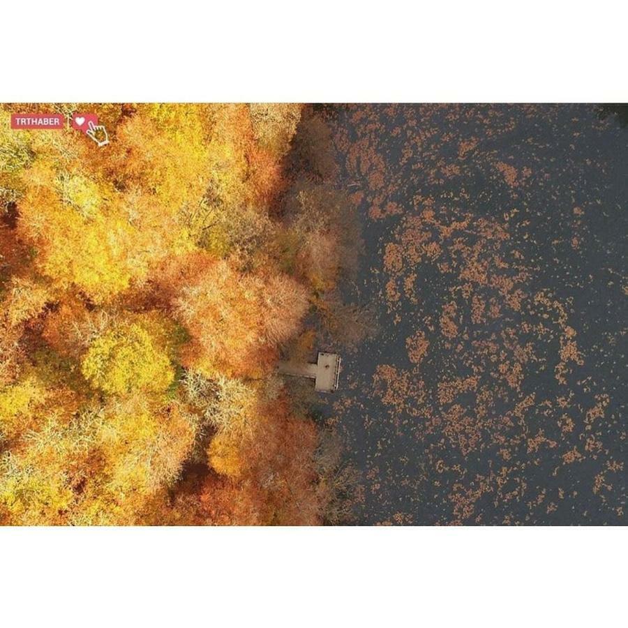 Гостевой дом Habitat Mesire Менген Экстерьер фото