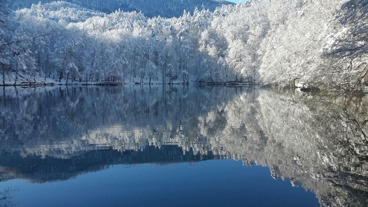 Гостевой дом Habitat Mesire Менген Экстерьер фото