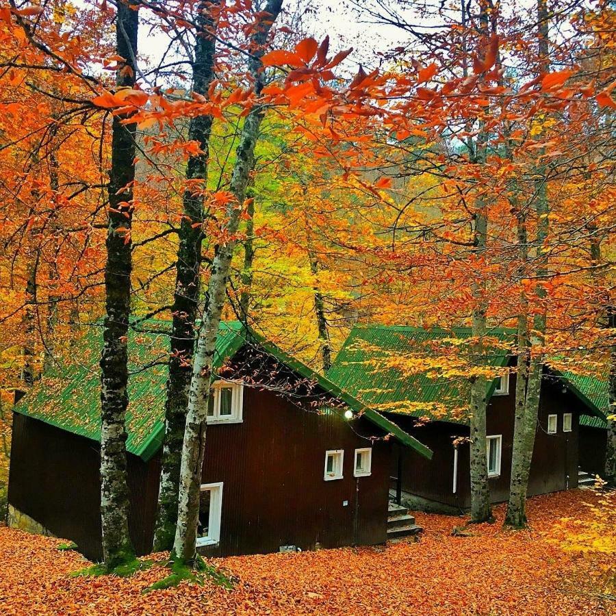 Гостевой дом Habitat Mesire Менген Экстерьер фото