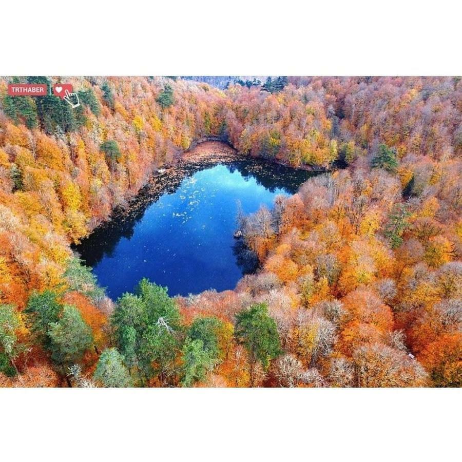 Гостевой дом Habitat Mesire Менген Экстерьер фото