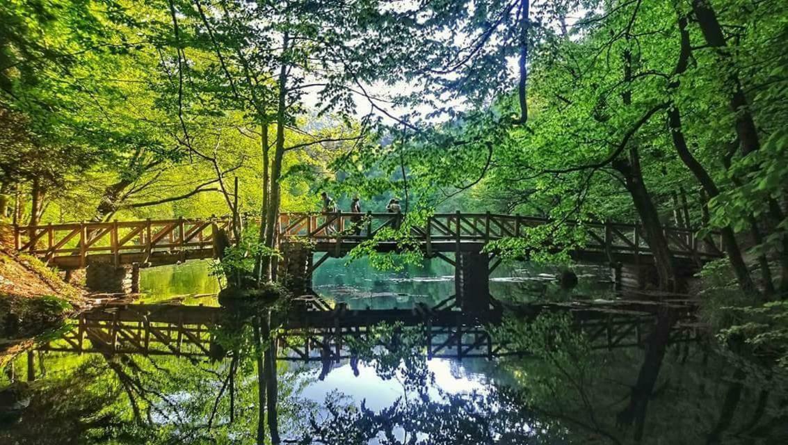 Гостевой дом Habitat Mesire Менген Экстерьер фото