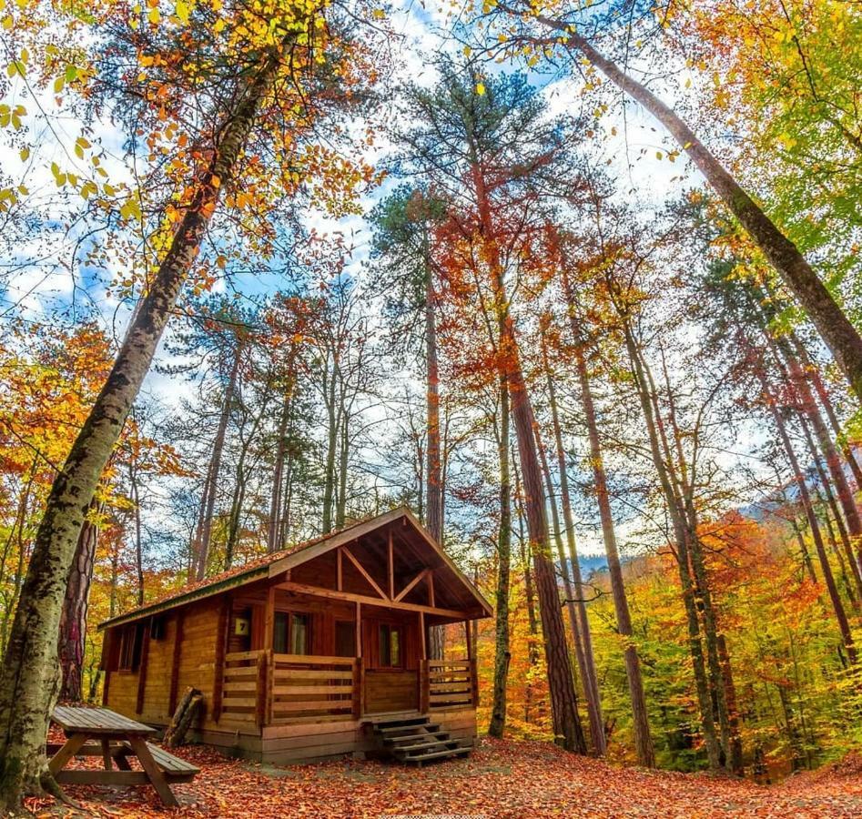Гостевой дом Habitat Mesire Менген Экстерьер фото