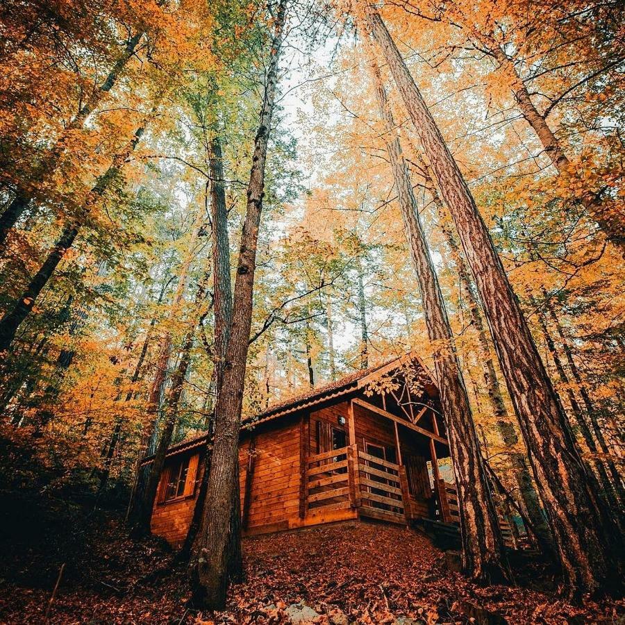 Гостевой дом Habitat Mesire Менген Экстерьер фото